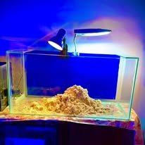 حد فاكر حوض زياد